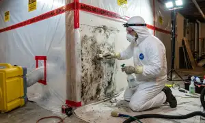 Mold remediation service in Tyler, TX for water damage restoration homes and businesses